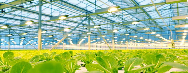 汉中诚合农业科技有限公司